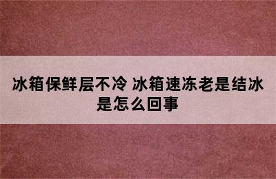 冰箱保鲜层不冷 冰箱速冻老是结冰是怎么回事